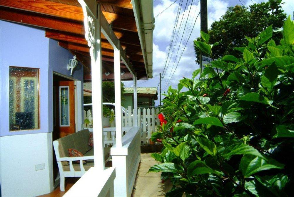 Tropical Breeze Vacation Home And Apartments Gros Islet Exterior foto