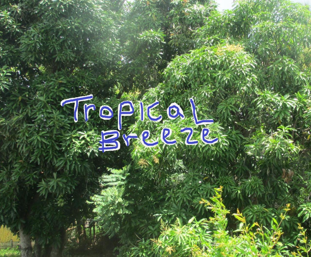 Tropical Breeze Vacation Home And Apartments Gros Islet Exterior foto